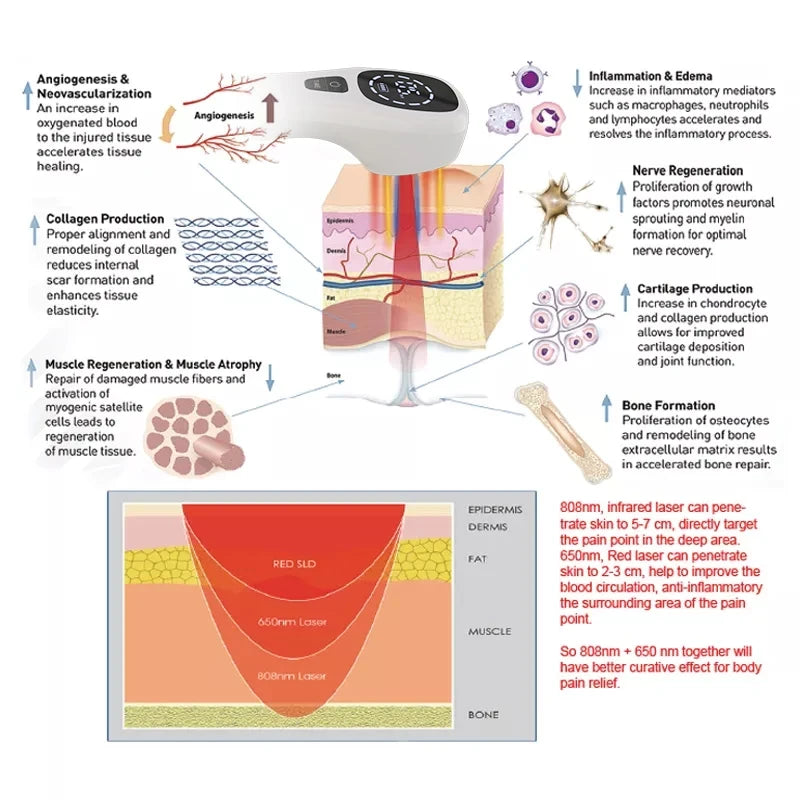 Infrared Light Therapy Device✨