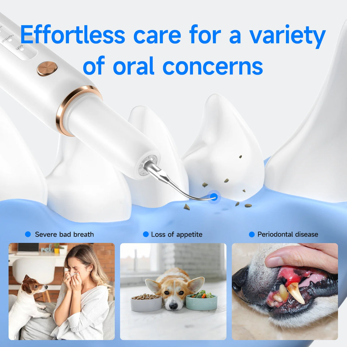 Anesthesia-Free Ultrasonic Pet Dental Scaler