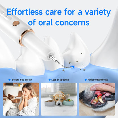 Anesthesia-Free Ultrasonic Pet Dental Scaler