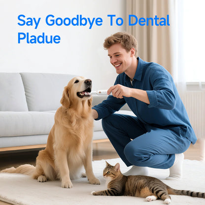 Anesthesia-Free Ultrasonic Pet Dental Scaler